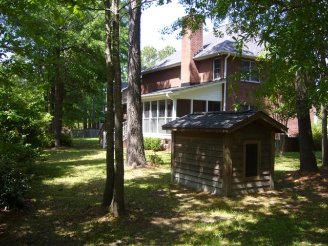 backyard.jpg